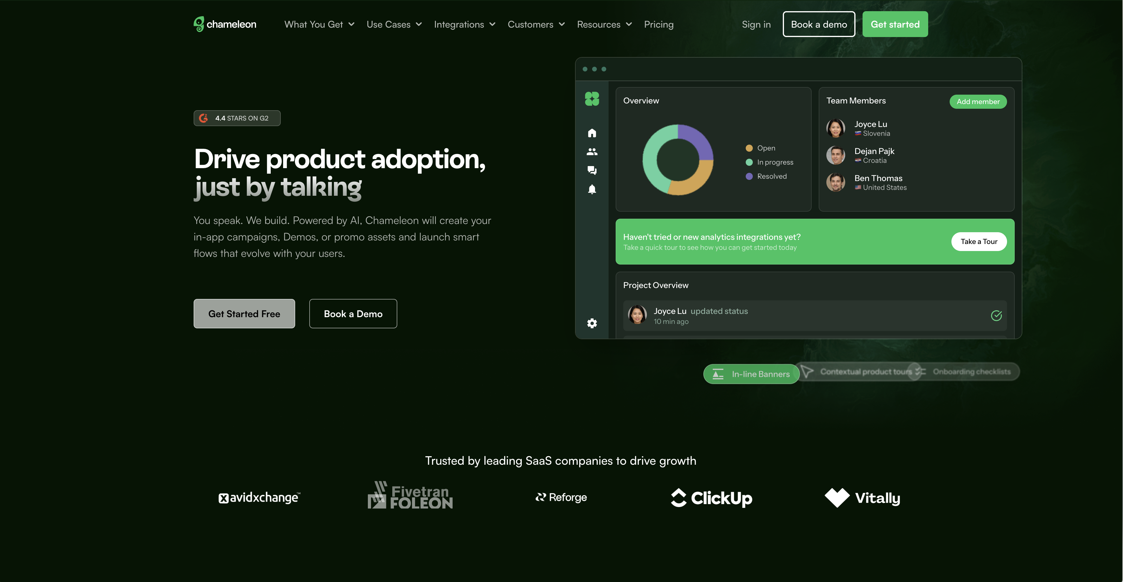 Chameleon website